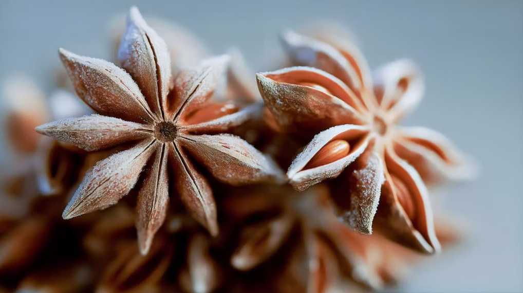 Frosted Star Anise від dsm-firmenich